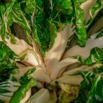 Pianta Beta Vulgaris | Deco bio