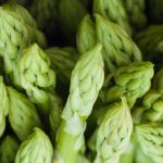 Pianta Asparagus Acutifolius | Deco bio